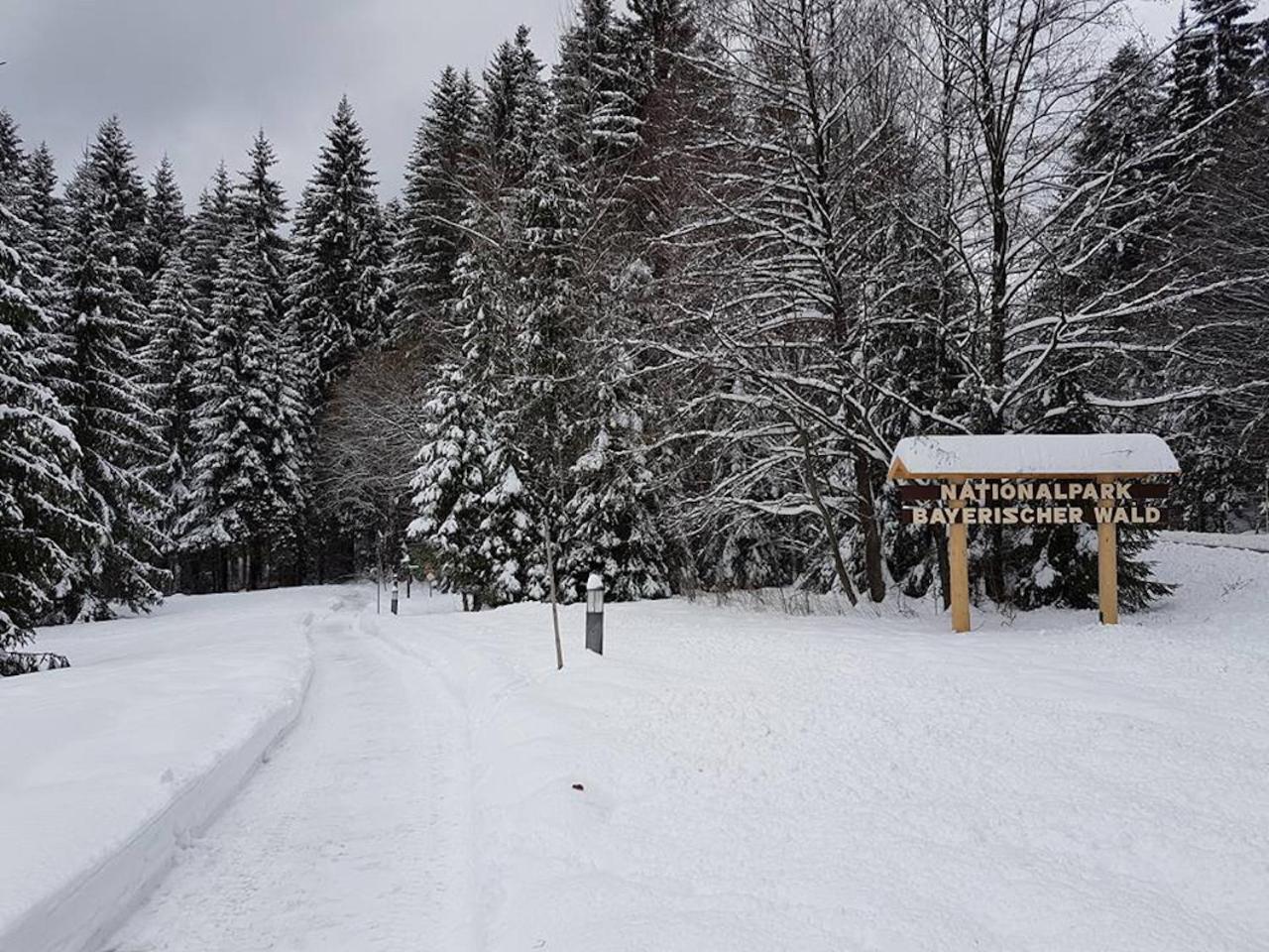 Apartment Zur Steinklamm Im Bayrischen Wald Spiegelau